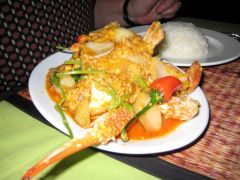 Seafood in Kata